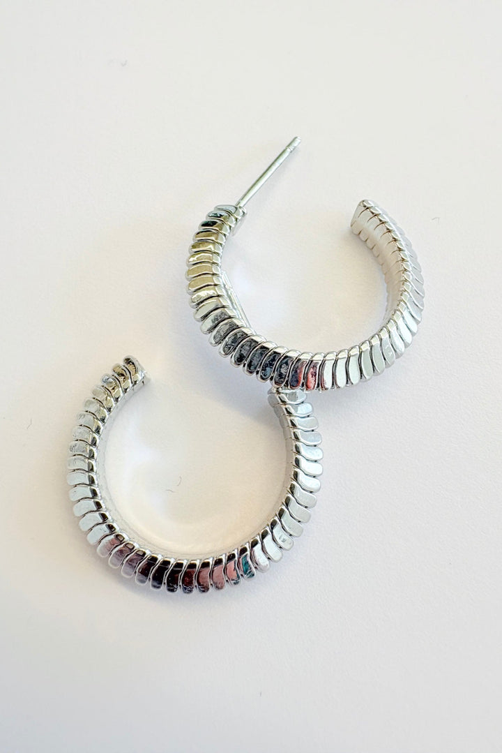 Snake Hoop Earrings