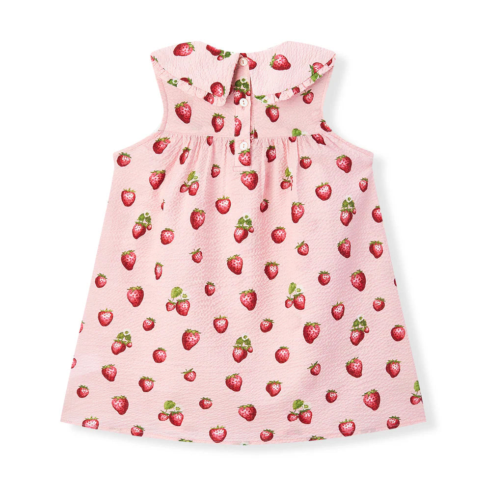 Strawberry Ruffle Toddler Dress