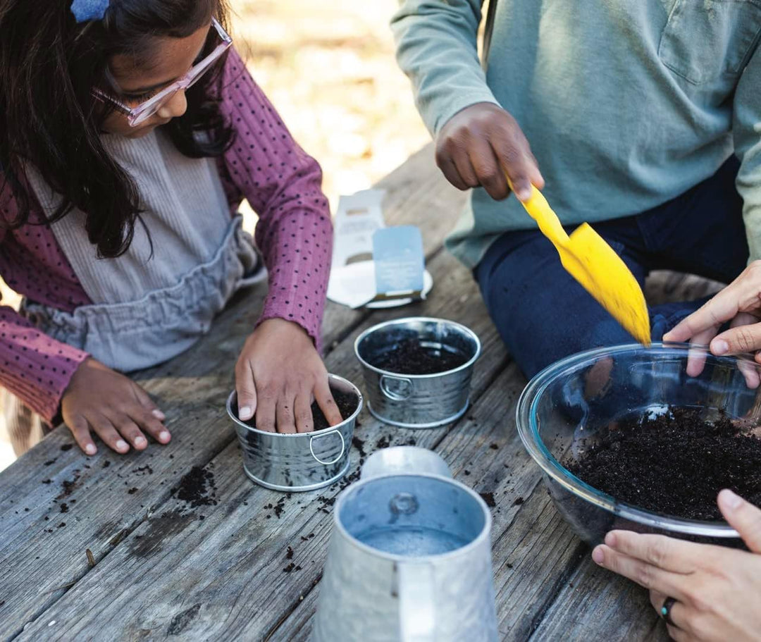 Kid's Sensitive Plant Grow Kit