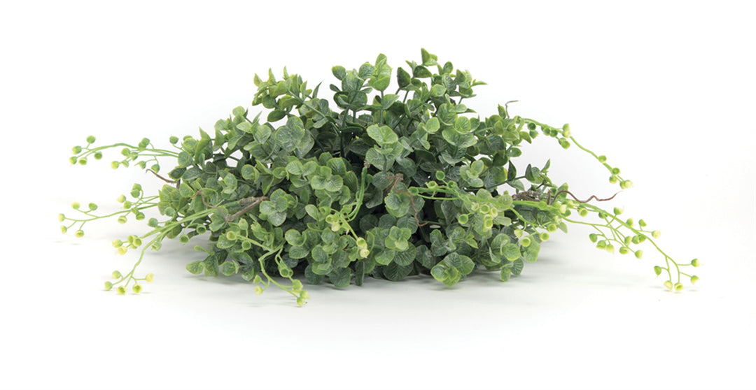 Trailing Boxwood Half Sphere