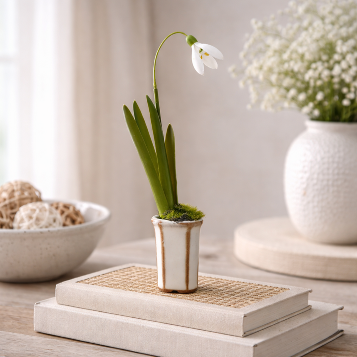 Snowdrop in Cachepot