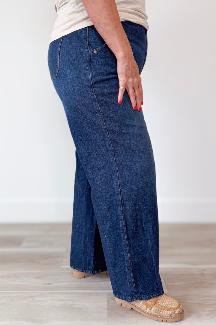 Democracy Bright Horizons Denim Curvy