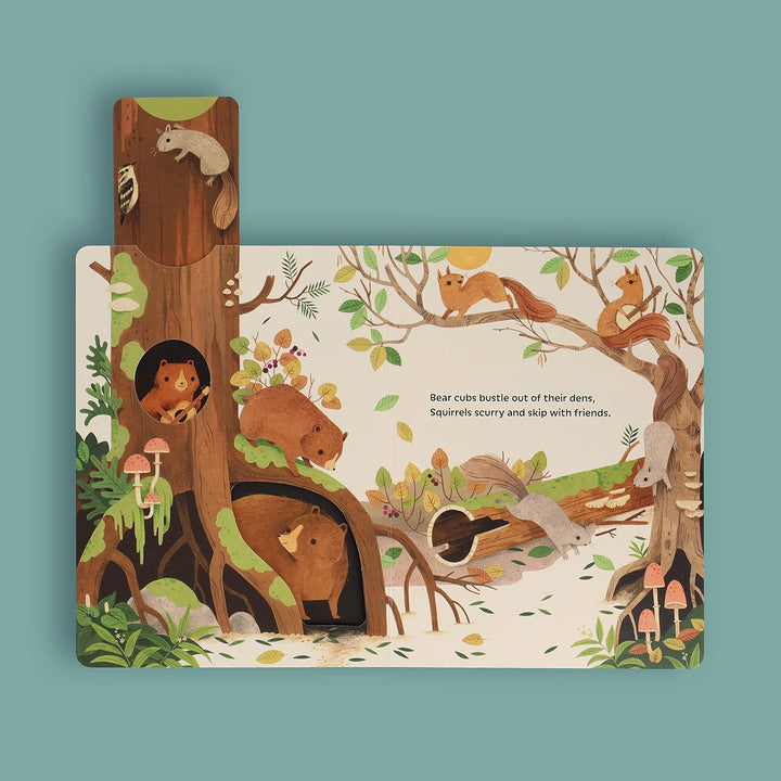 Sunrise Dance Book