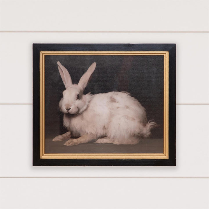 Handsome Rabbit Framed Print