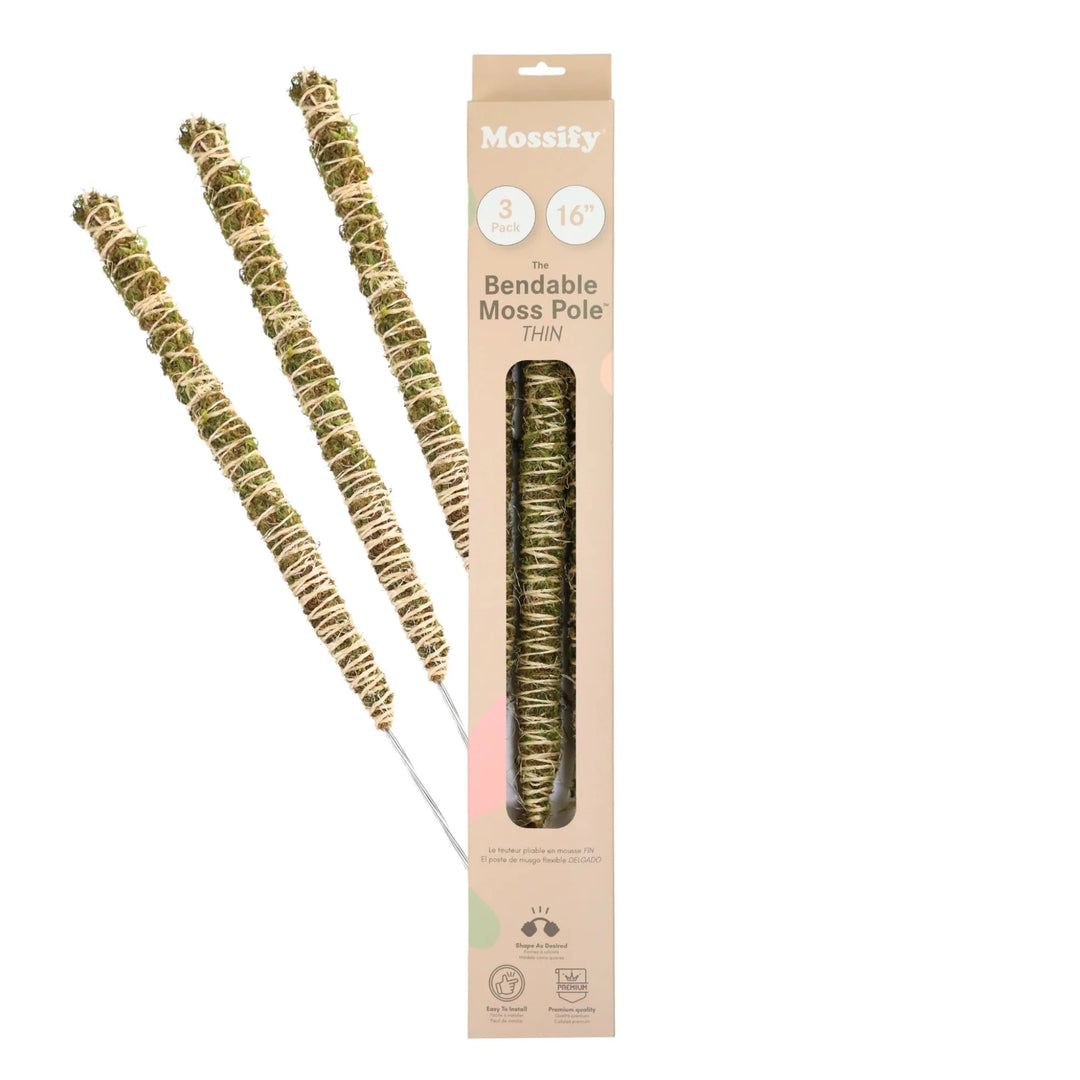 bendable moss pole for plants Mossify 16 in. THIN Bendable Moss Poles