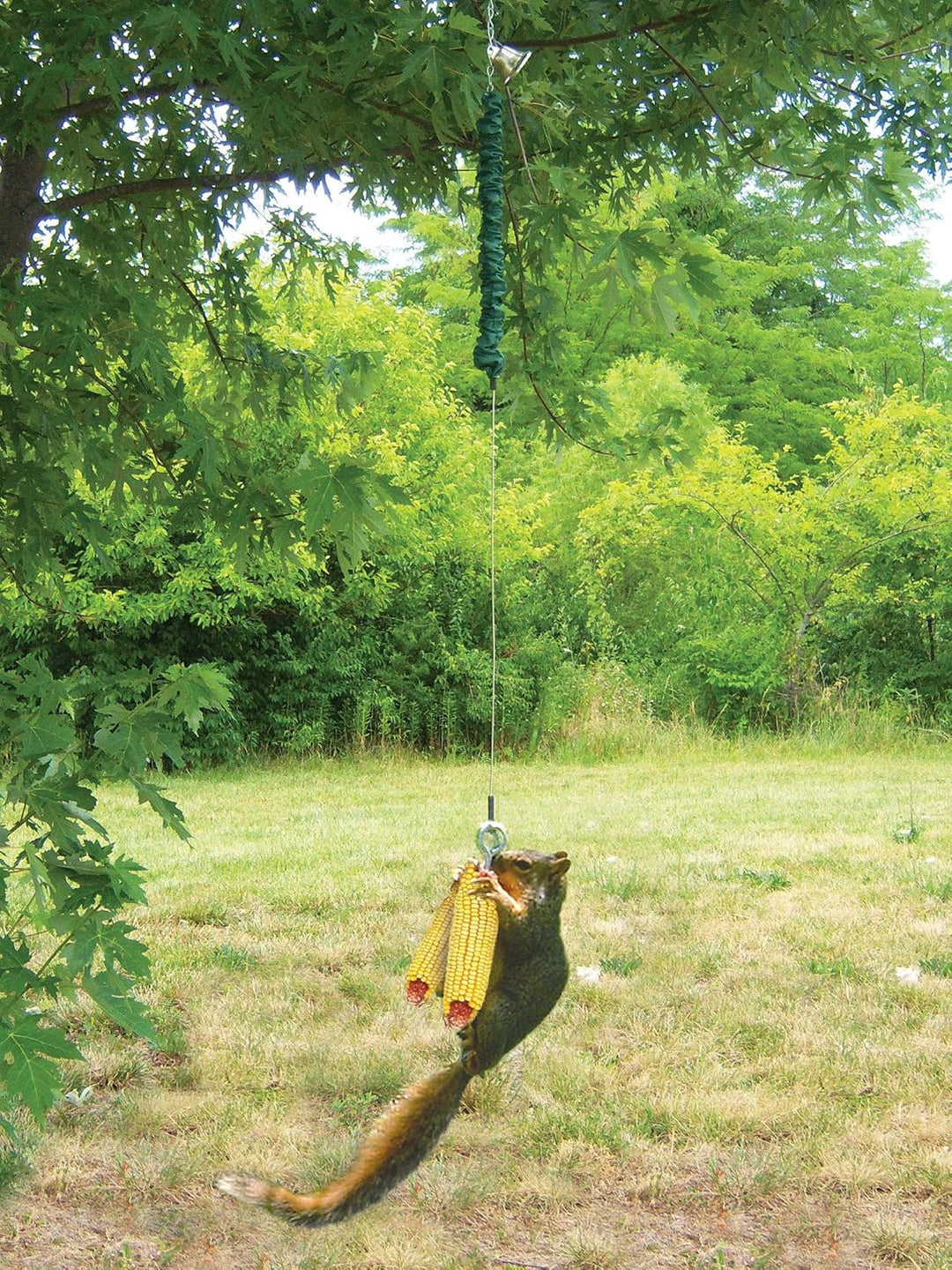 Squngee Squirrel Deluxe Feeder