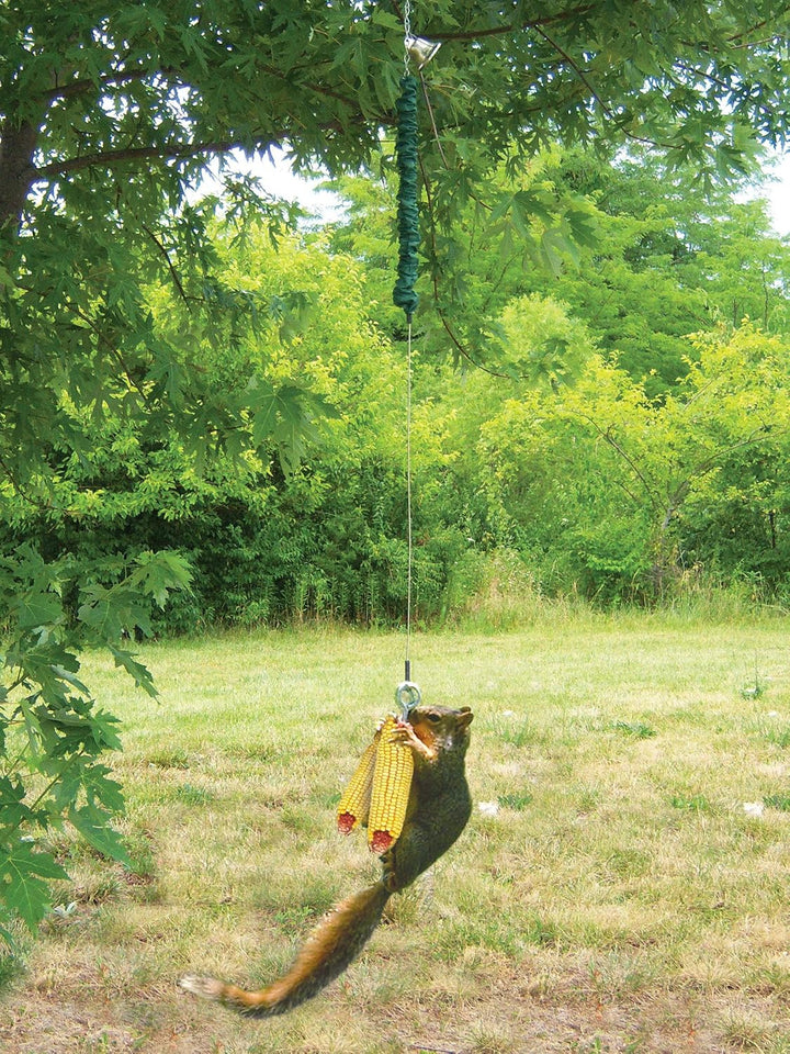 Squngee Squirrel Deluxe Feeder