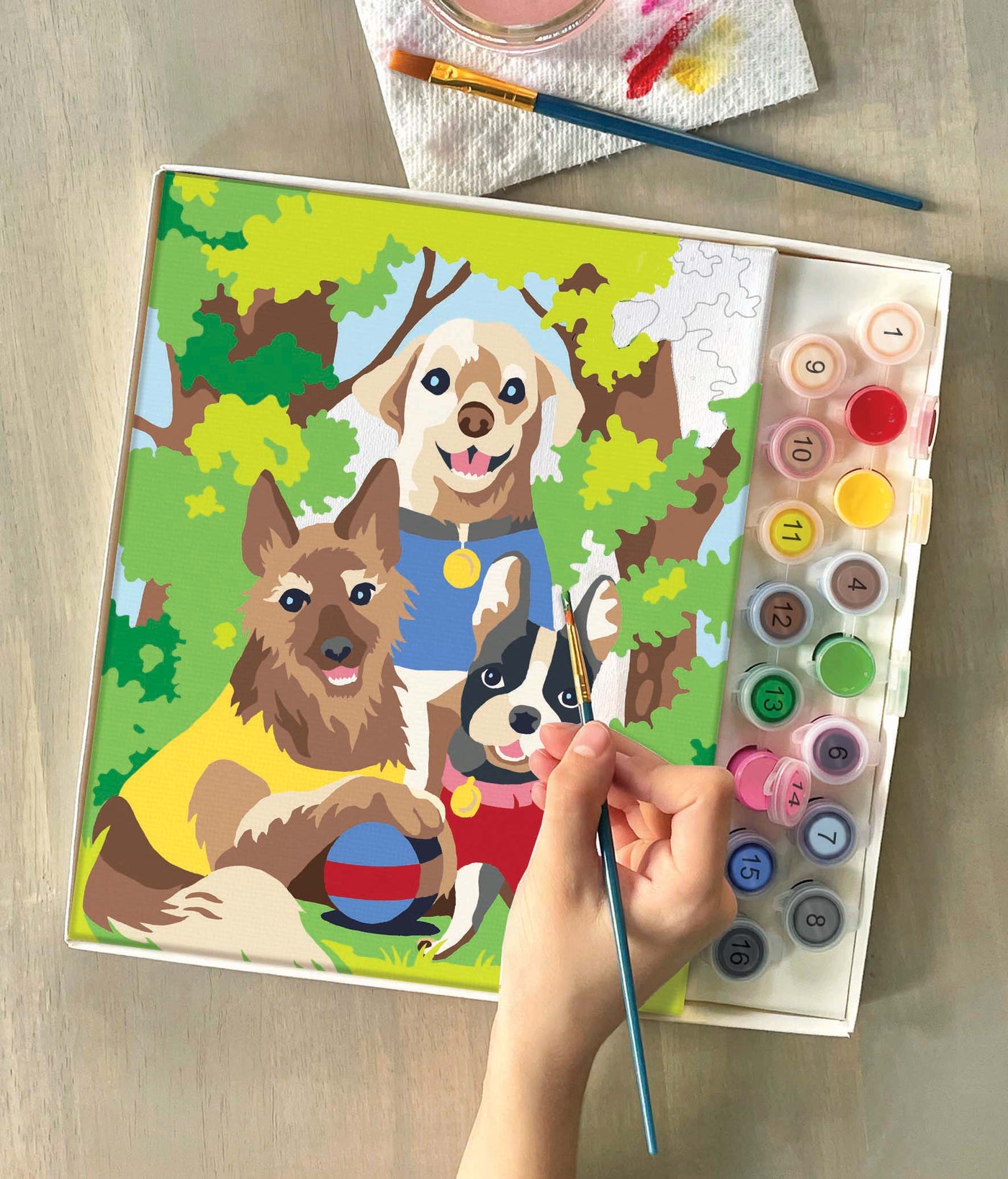 Dogs Day Out Paint by Numbers