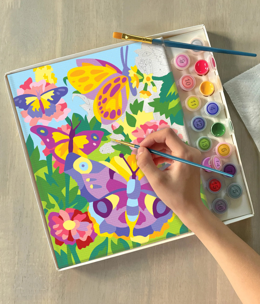 Butterflies & Blooms Paint by Numbers
