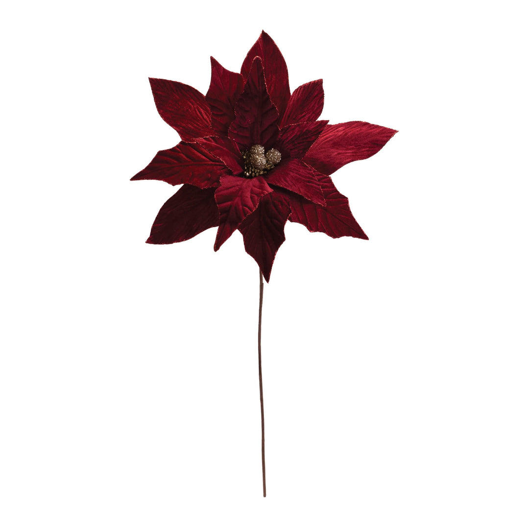 Deep Red Poinsettia