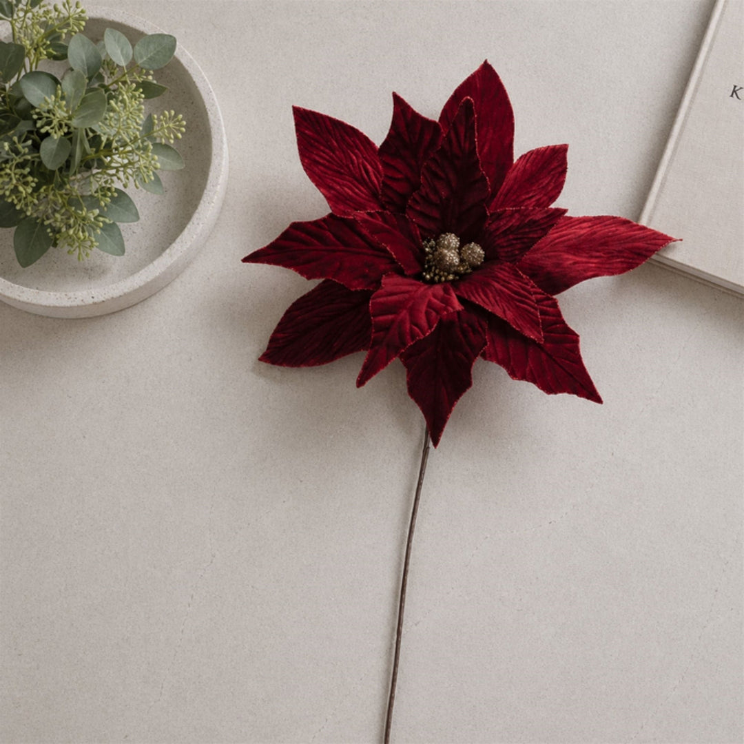 Deep Red Poinsettia