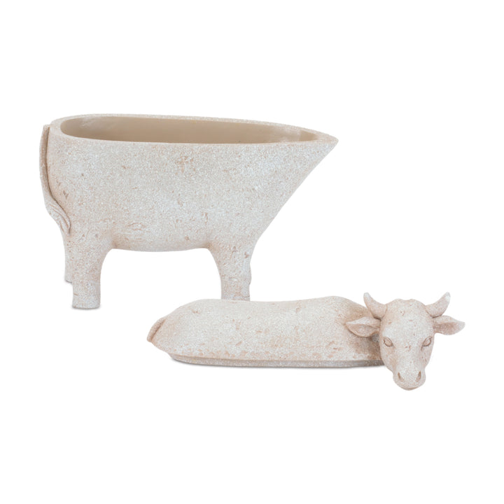 Natural Cow Keep Sake Box