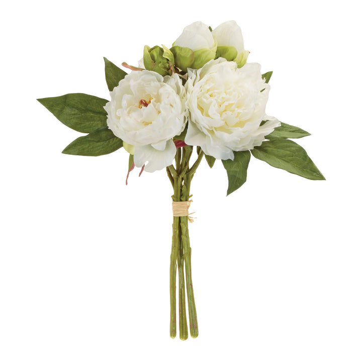 Cream Peony Bundle