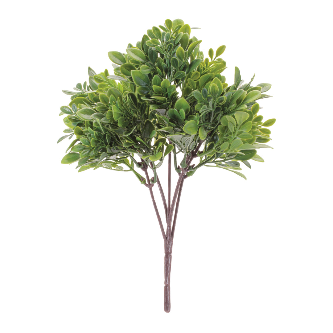 Boxwood Cluster Stem