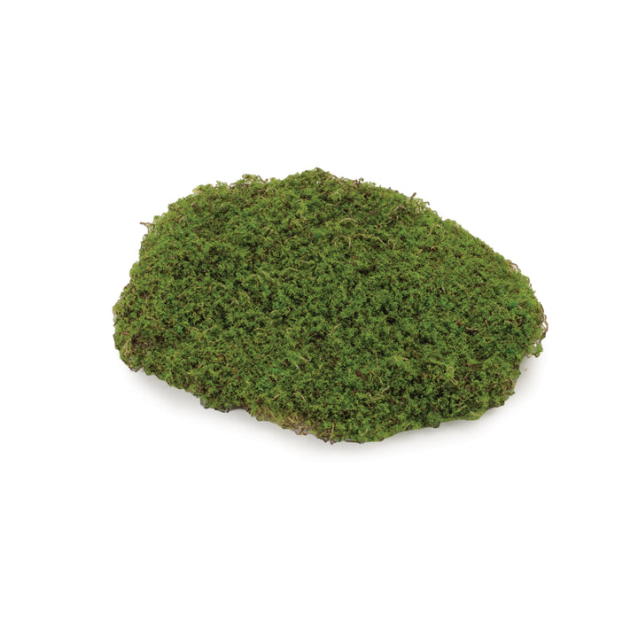 Moss Pad
