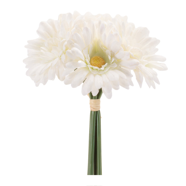 Cream Gerbera Daisy Bundle