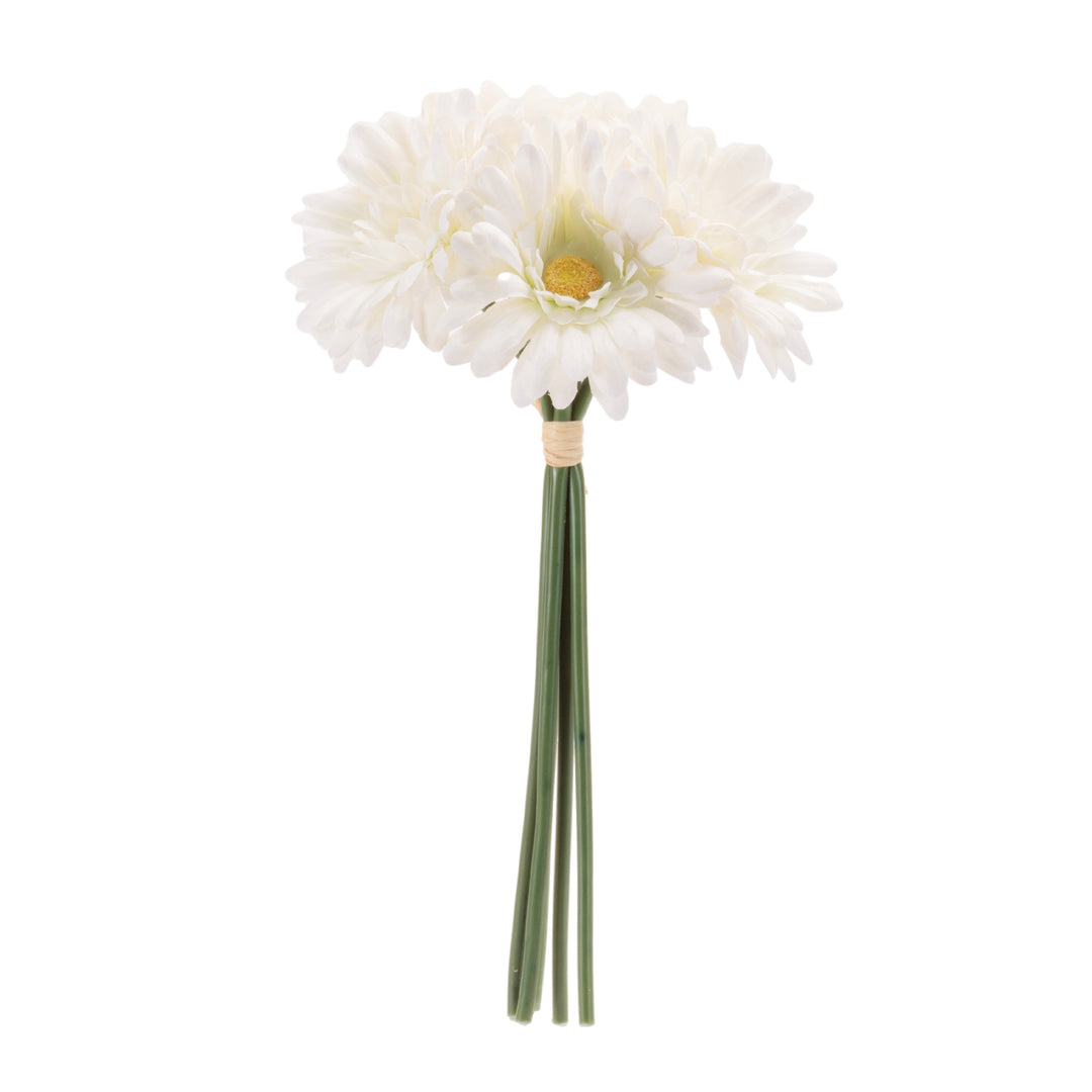 Cream Gerbera Daisy Bundle