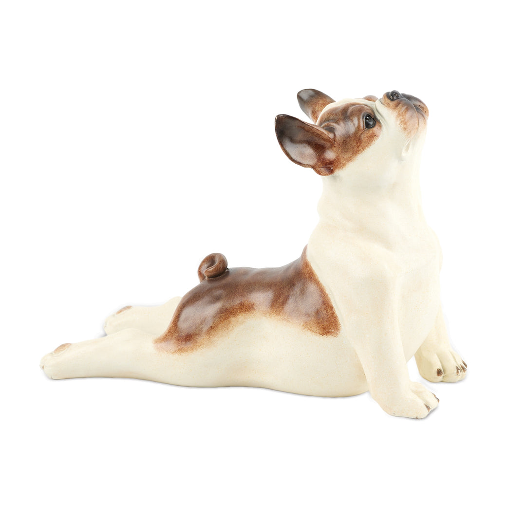 Yoga Dog