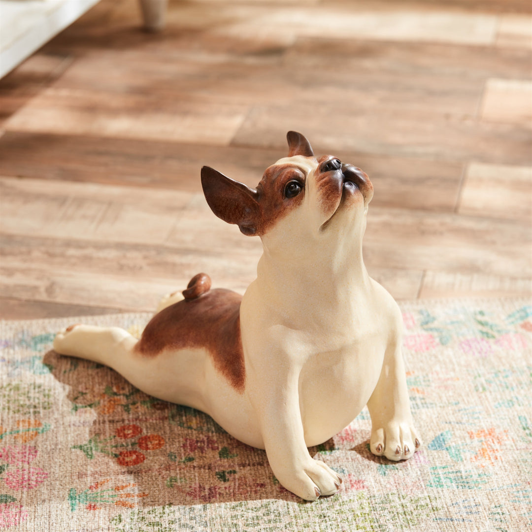 Yoga Dog