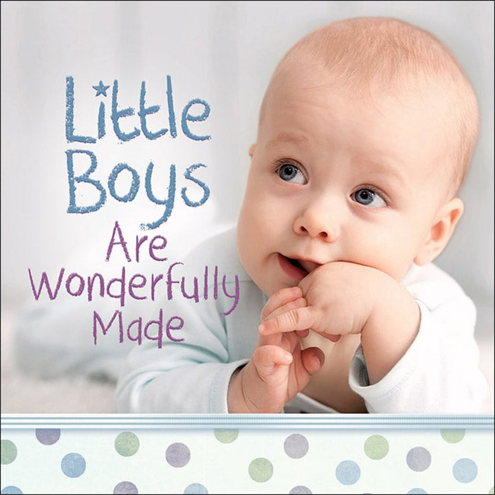 Little Boys Are Wonderfully Made Book