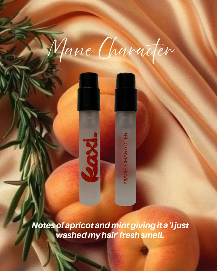 Kaxi Hair Perfume Travel Pack