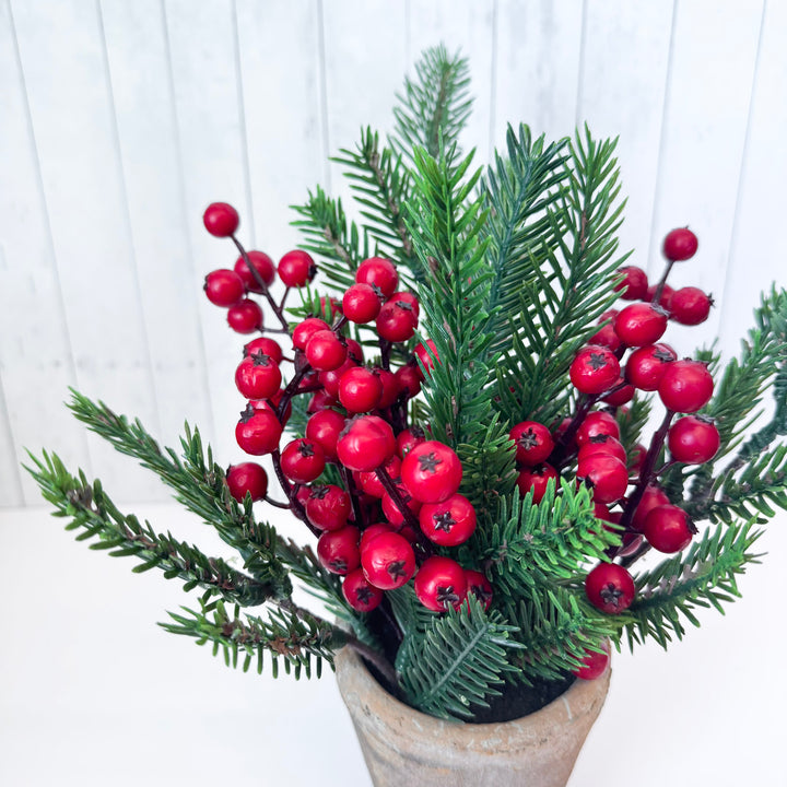 Mixed Pine & Berries Potted Arrangement