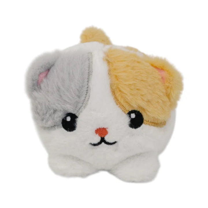 Baby Kitten Warm Pal