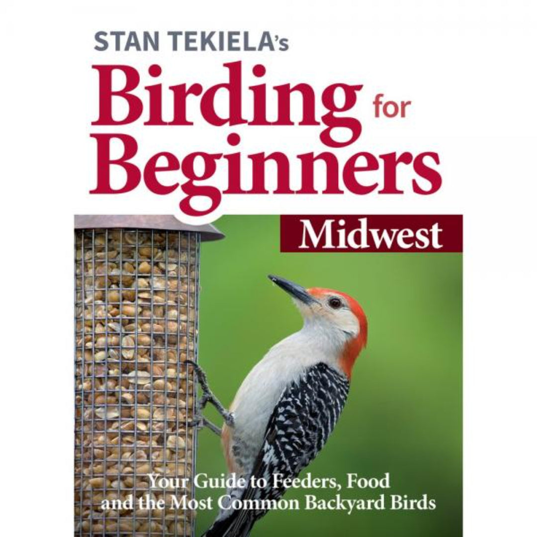 Birding For Beginners