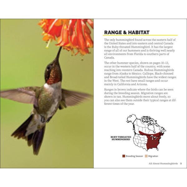 Attracting & Feeding Hummingbirds Guide