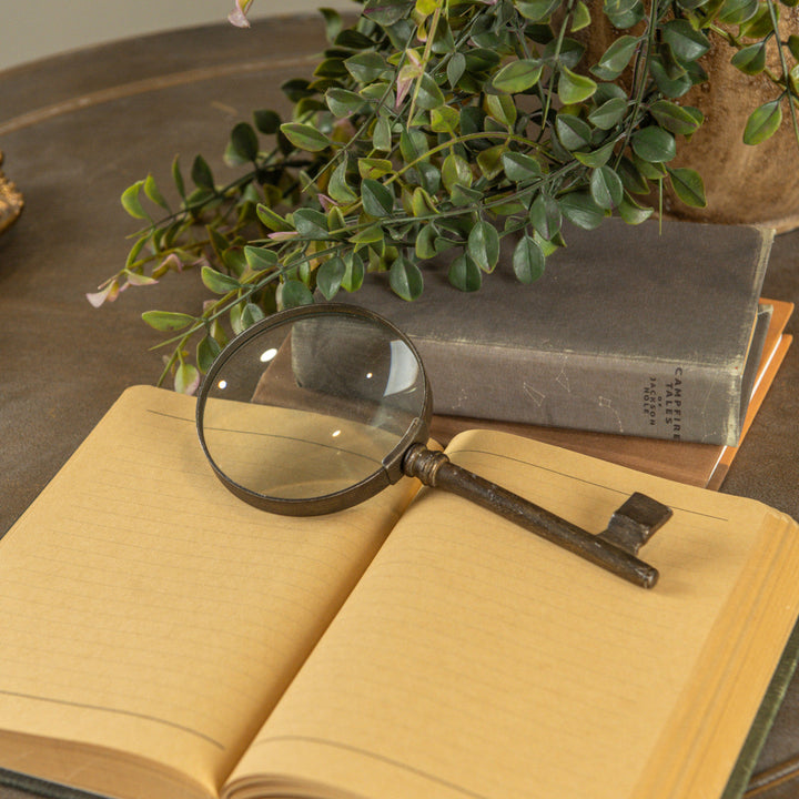 Magnifying glass on an open book with a plant in the background