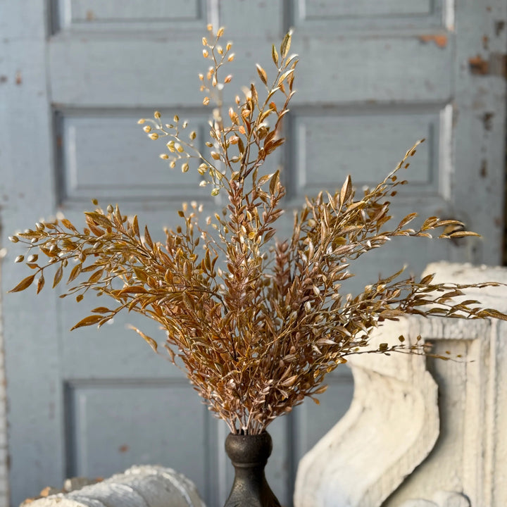 Ambermist Sage Bush