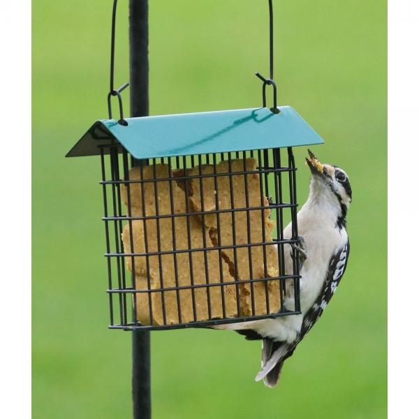 Classic Suet Cage Feeder