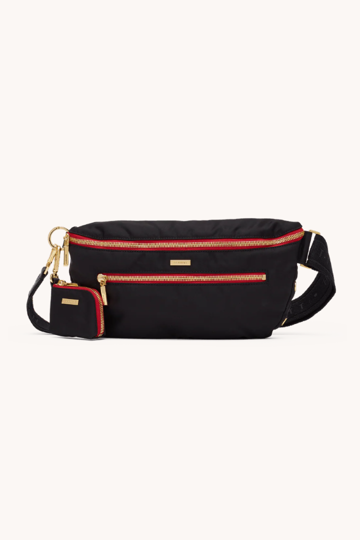 Hammitt Charles Medium Crossbody