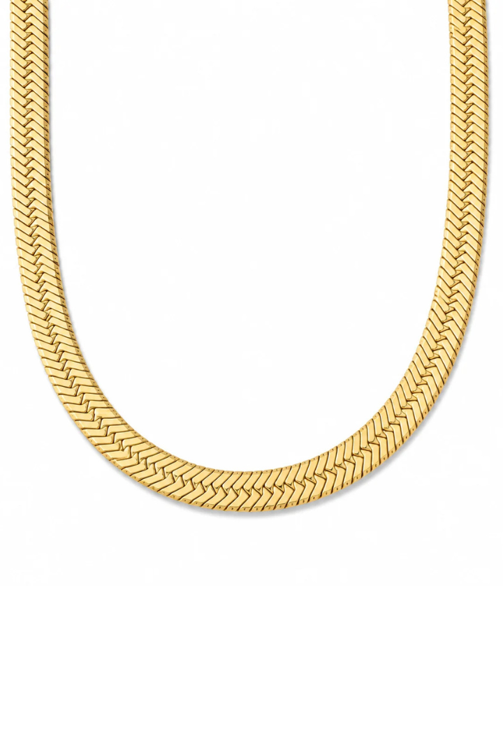 Ellie Vail Paola Herringbone Chain Necklace