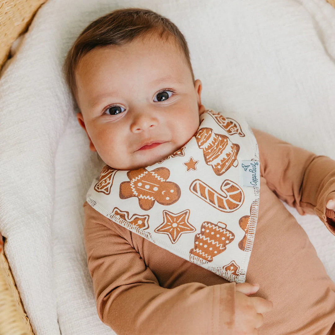 Gingerbread Bandana Bib Set