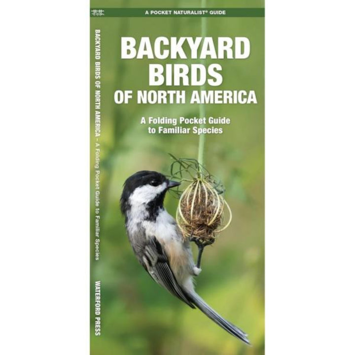 Book cover of 'Backyard Birds of North America' with a bird on a branch.
