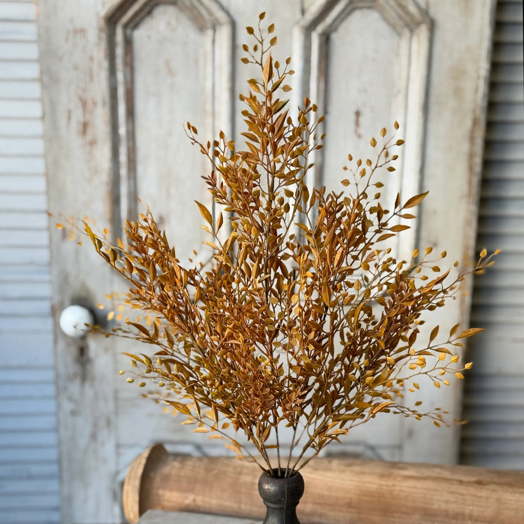 Barley Twist Sage Bush 