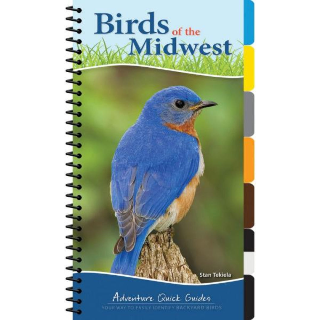 Book cover of 'Birds of the Midwest' with a blue bird on a branch
