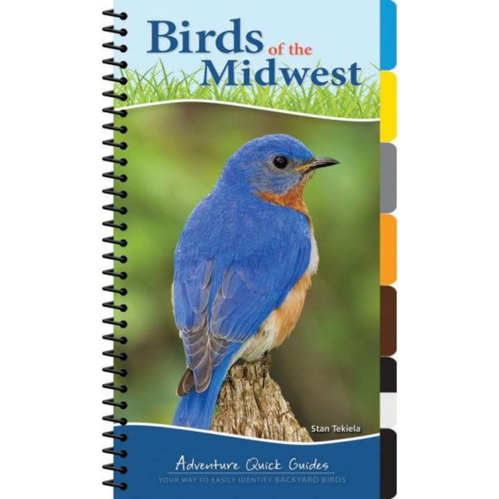 Book cover of 'Birds of the Midwest' with a blue bird on a branch