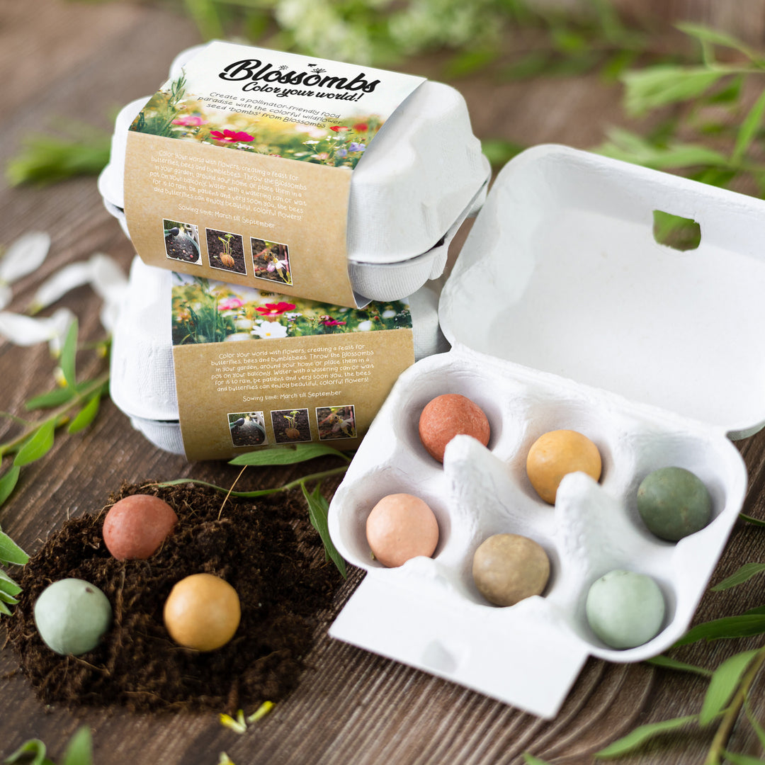 It's Spring Seed Bomb Egg Carton