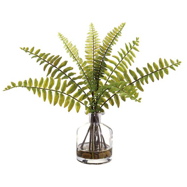 Artificial fern plant in a clear glass vase on a white background