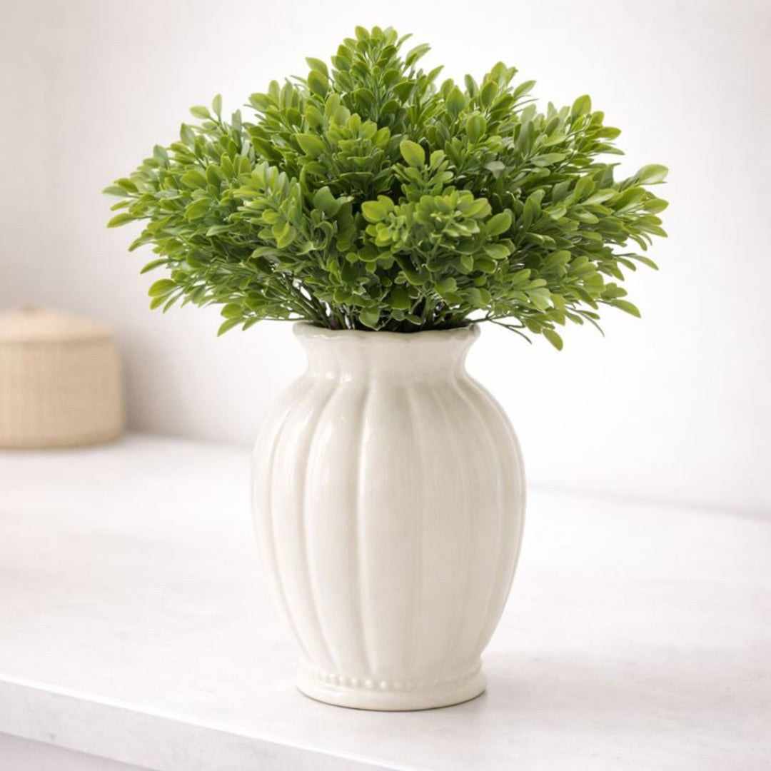Green plant in a white vase on a light surface with a neutral background