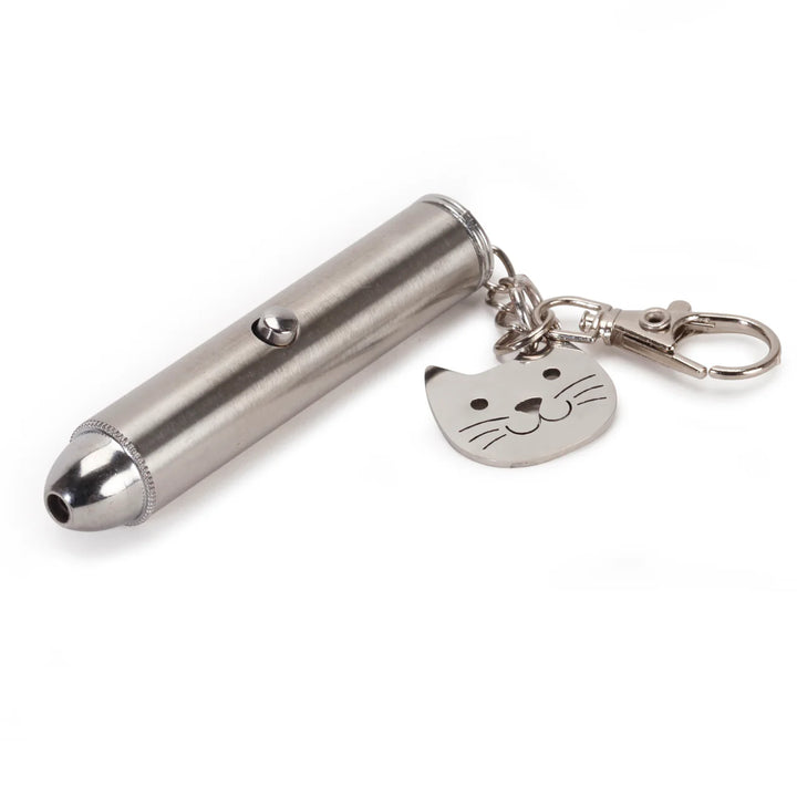 Rechargeable Laser Pointer