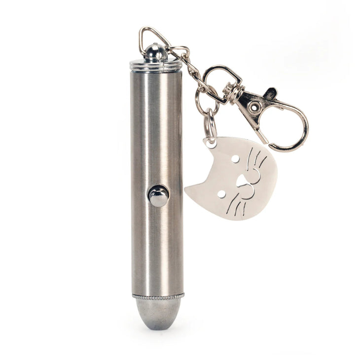 Rechargeable Laser Pointer