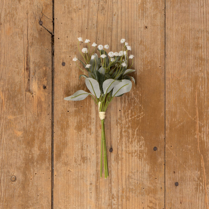 Mini Cream Star Bundle