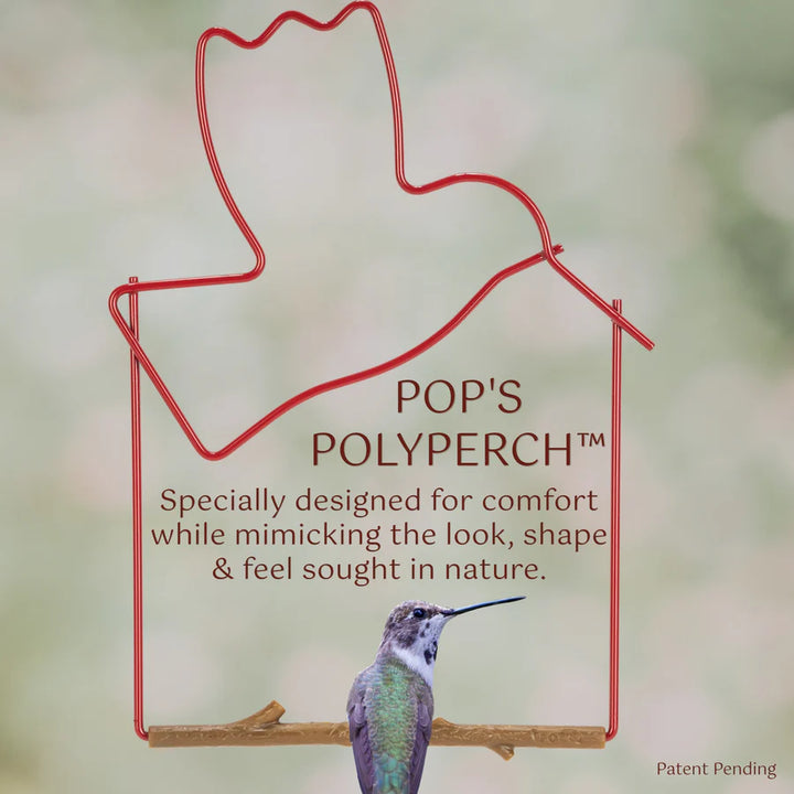 Red Bird Craft Hummingbird Swing