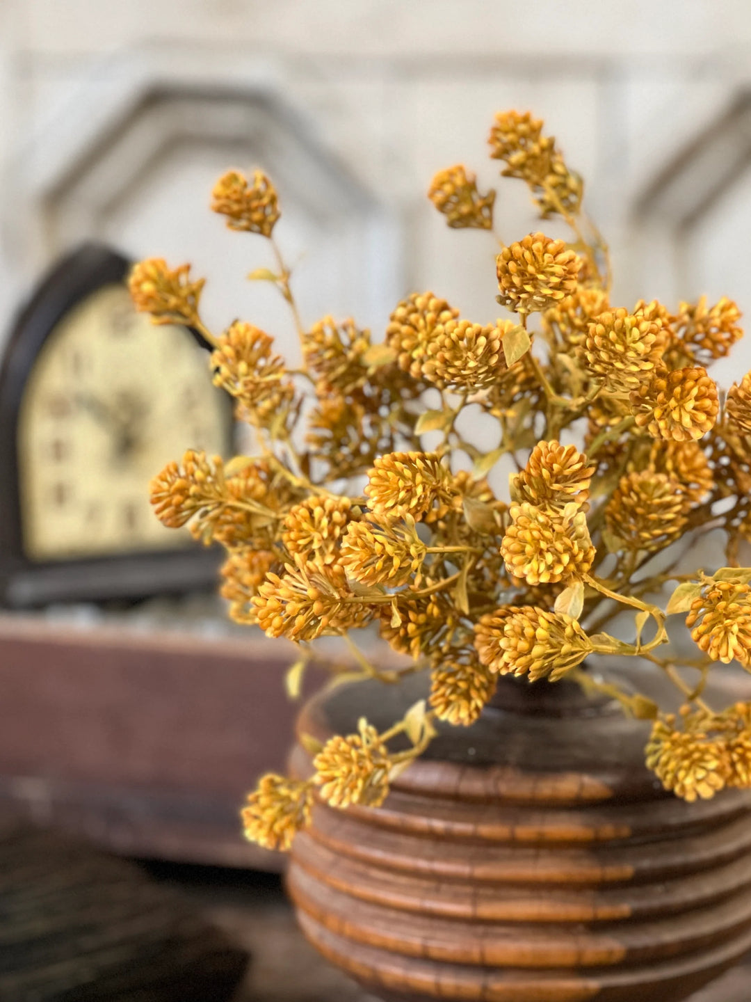 Russet Cone Bush