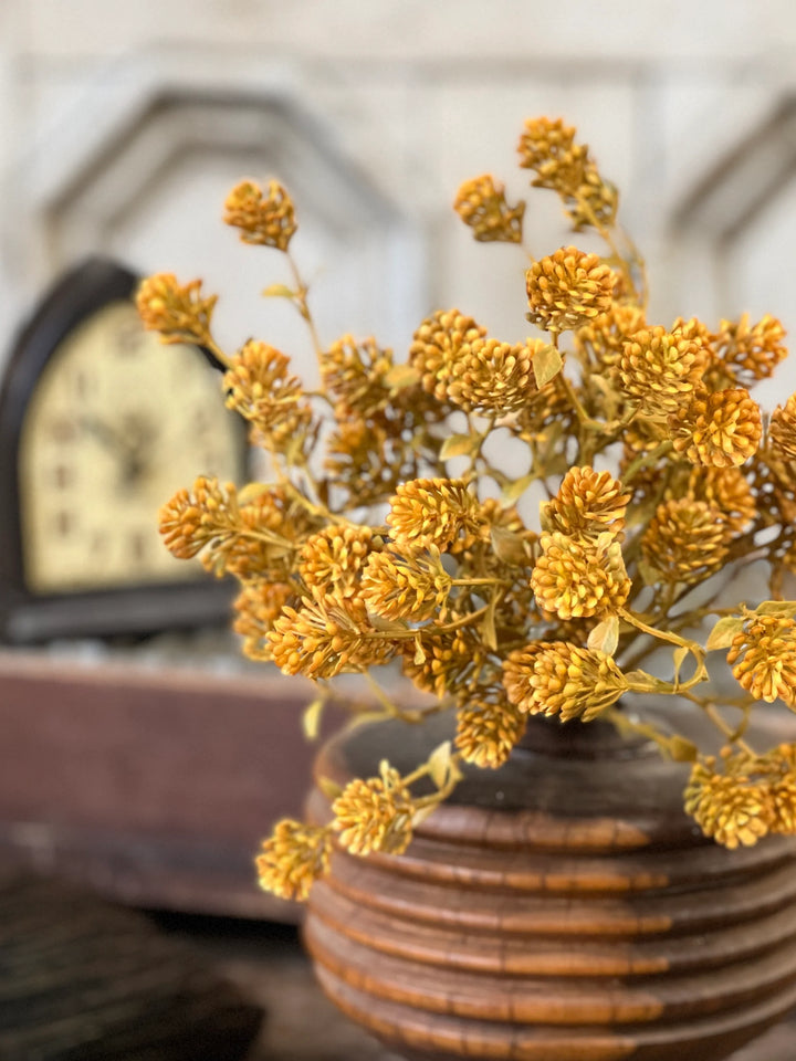 Russet Cone Bush