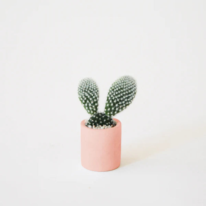 Teeny Tiny Planter