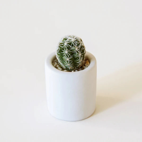 Teeny Tiny Planter